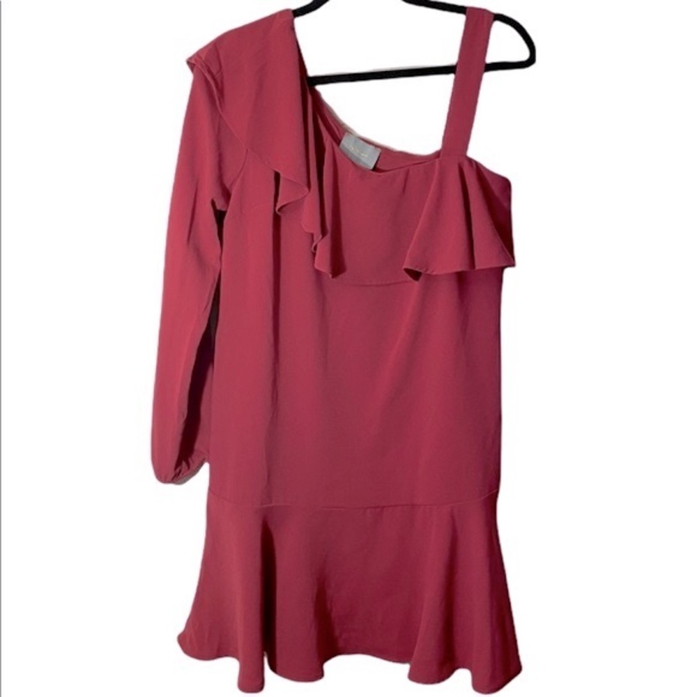 NWT Anthropologie Skies are Blue Dress Pink One Sleeve Ruffle Detail